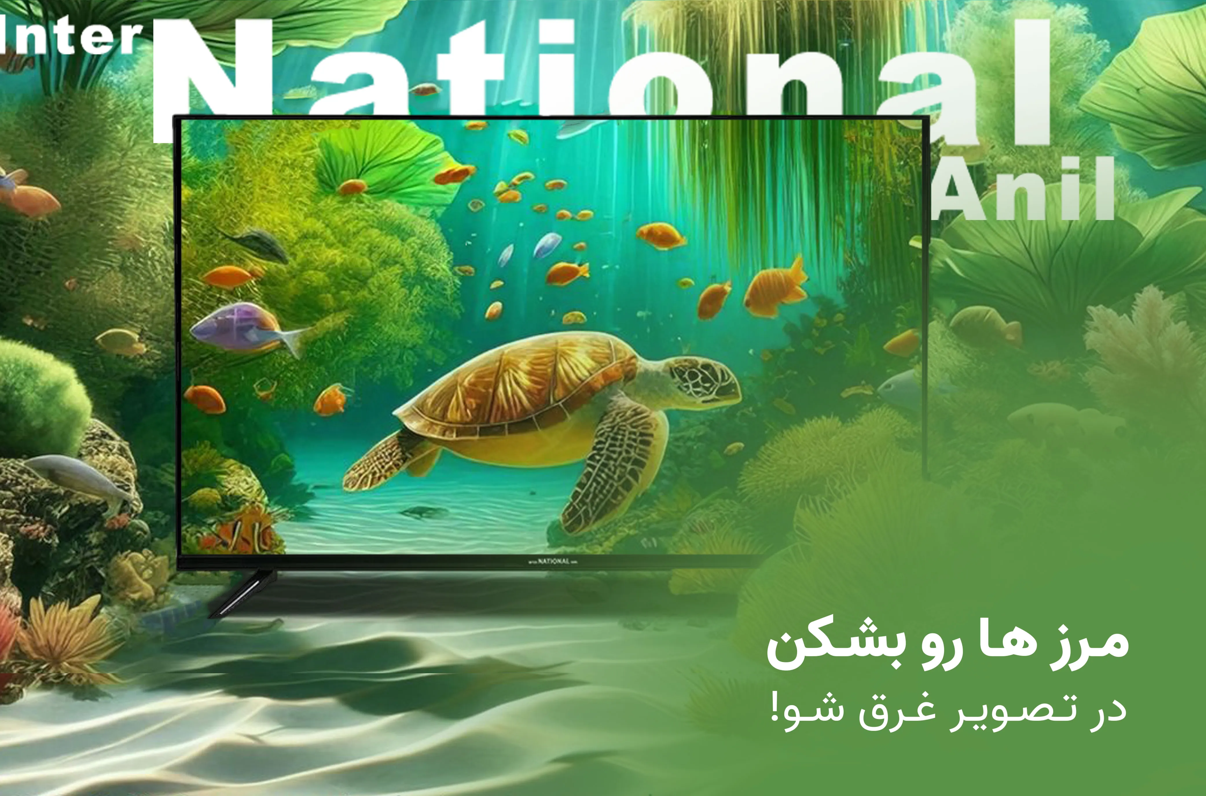 تلویزیونهای اینترناسیونال آنیل