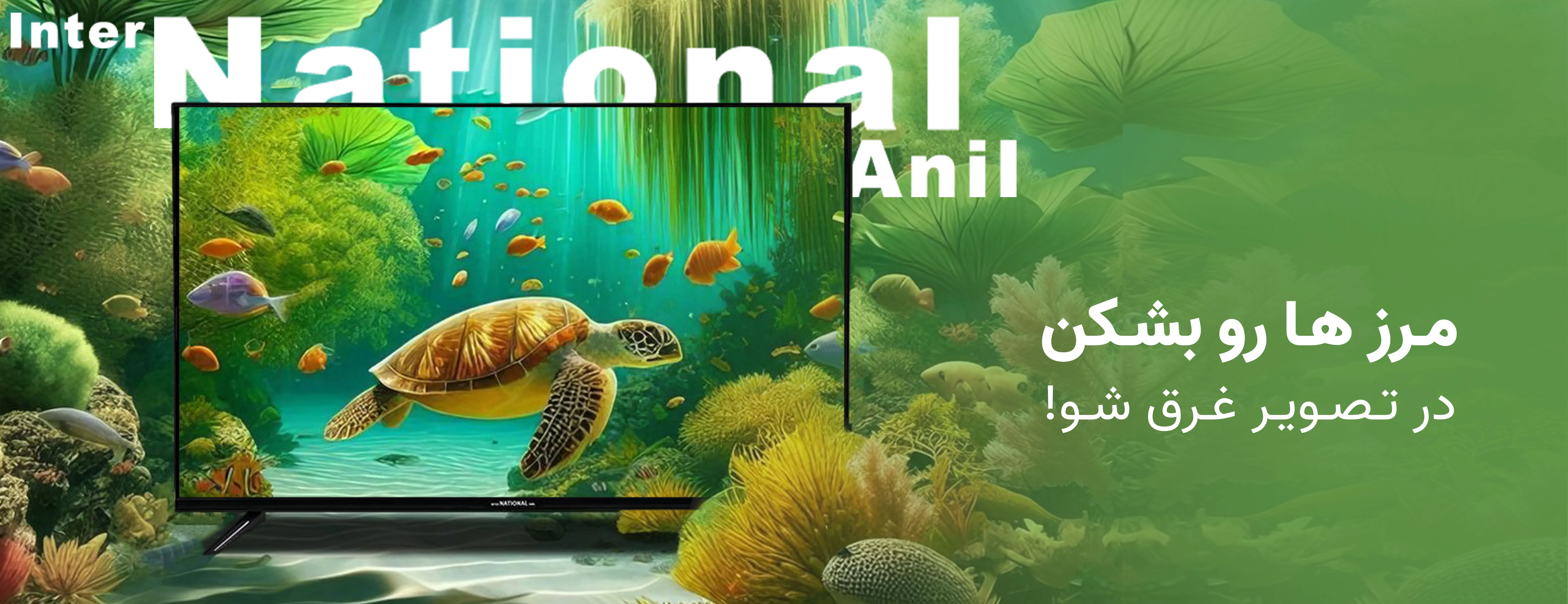 تلویزیونهای اینترناسیونال آنیل